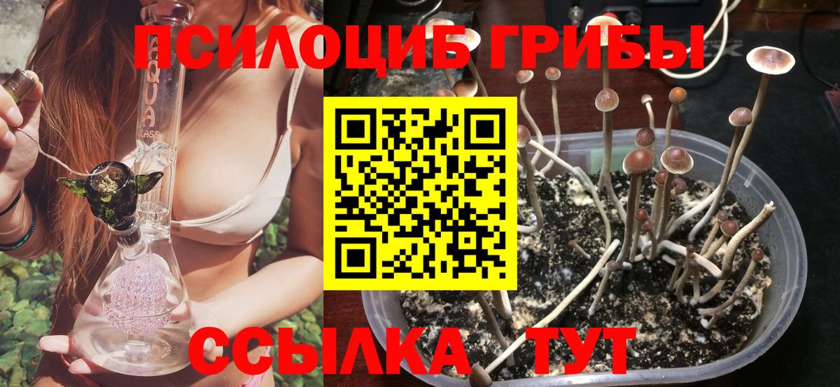 Псилоцибиновые грибы Psilocybine cubensis  Вход с VPN  Первоуральск 