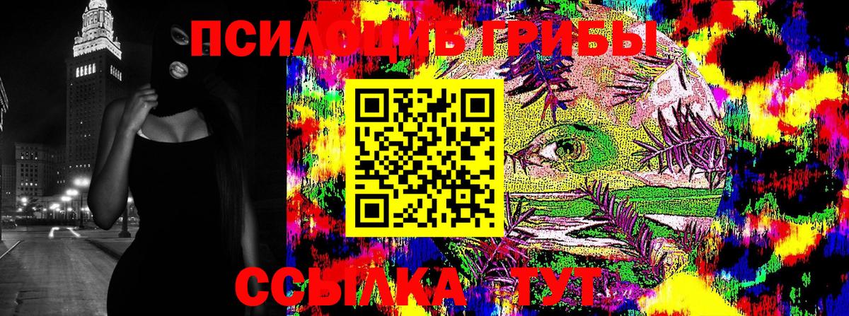 Псилоцибиновые грибы Cubensis Первоуральск